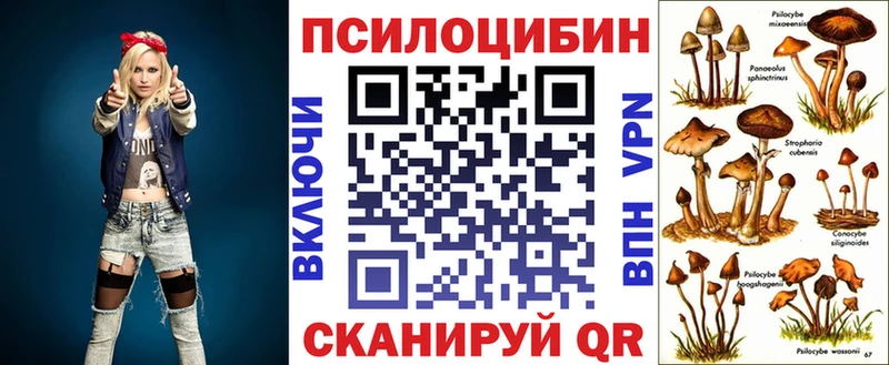 Псилоцибиновые грибы GOLDEN TEACHER  Купить где  Сельцо 